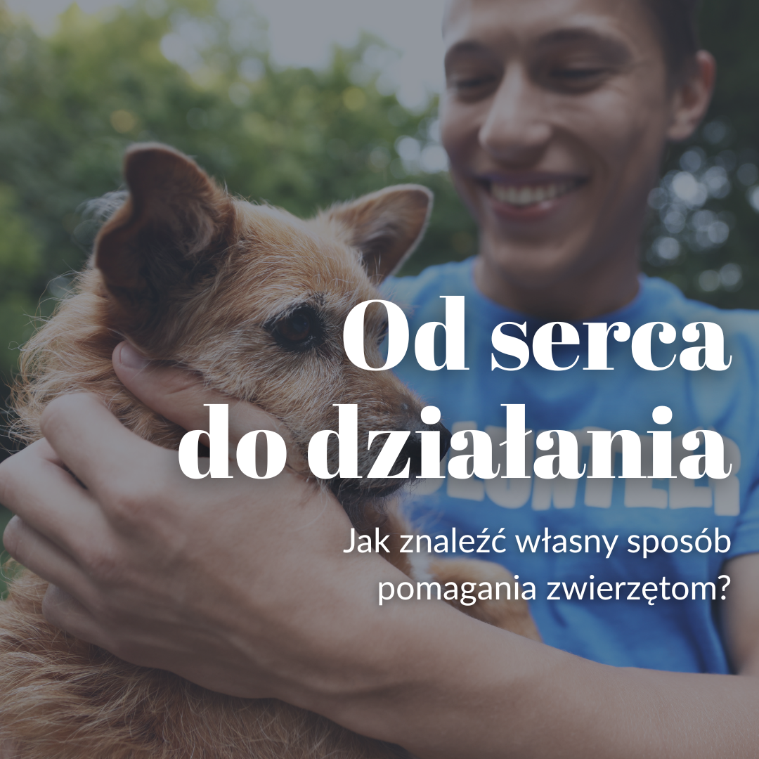 Od serca do działania: jak znaleźć własny sposób pomagania zwierzętom?
