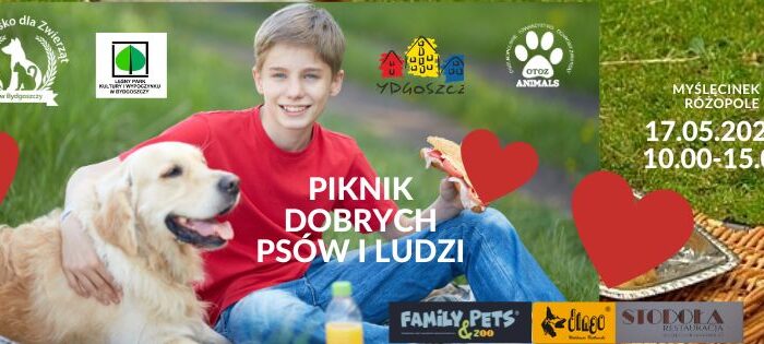 Piknik