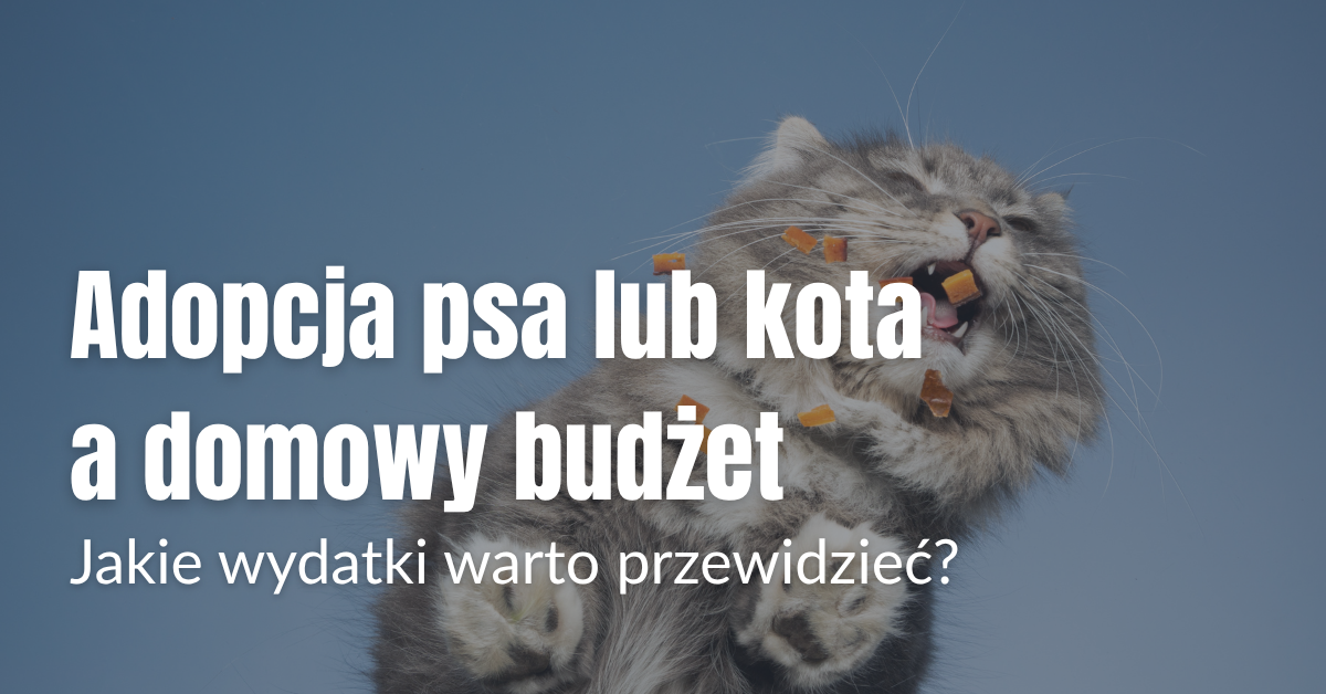 Adopcja psa lub kota a domowy budżet – jakie wydatki warto przewidzieć?