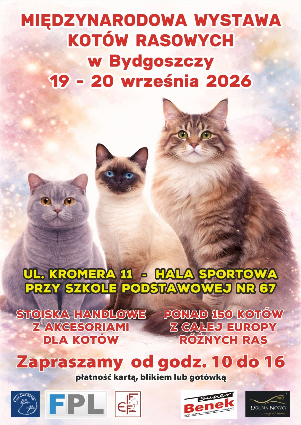 WYSTAWA KOTÓW 2026